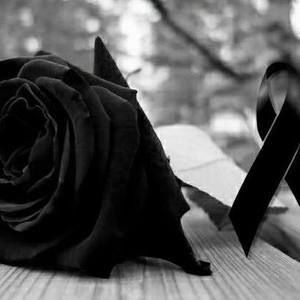 Meet your Posher, Marisol